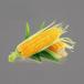 Corn