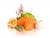 Salmon Sashimi
