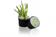Cucumber Maki Rolls