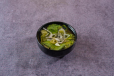 Bulalo Soup
