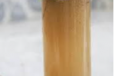 Masala Soda