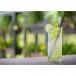 Fresh Lime