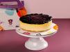 Blueberry Cheesecake