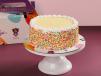 Vanilla Birthday Cake