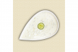Cucumber Yoghurt