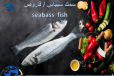 Seabass fish