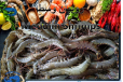 Shrimps Medium