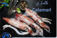 Calamari