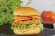 Normal Chicken Burger Sandwich