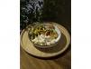 Power Bowl