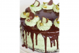 Pistachio Chocolate Cake 1 Kg