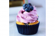 Blueberry Cupcake 1 Piece