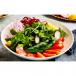 Garden Salad