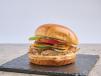 Mexican Grilled Sandwich