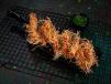 Threaded Chicken