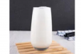 Vanilla Milk Shake