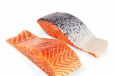 Salmon Fish