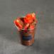 STRAWBERRY NUTELLA CUP كوب فراولة نوتيلا 