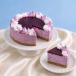 Blueberry Cheesecake