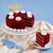 Premium Cake Party Kit