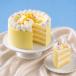 Mango Ice Cream Cake Small
