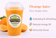 Orange Juice - Fresh and Cold Pressed