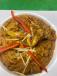 Chicken Lababdar