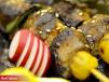 Beef Yakitori