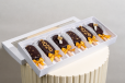 Graduation Cakesicles