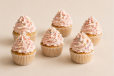 Vanilla Cupcake with Strawberry Sprinkles