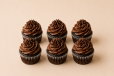 Chocolate Cupcake with Chocolate Frosting