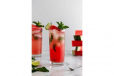 Watermelon Mojito