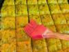 1 Kg Chicken Koobedeh Kabab Un Cooked ( Raw )