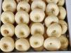 Milk Pedes Doodh Peda 1kg