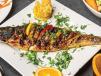 Egyptian Mullet Fish