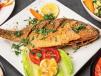 Egyptian Tilapia Fish