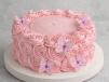 Pink Rose Butterfly Cake