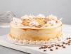Mocha Cake