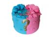 Boy Or Girl 3d Cake