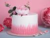 Pink Slide Cake