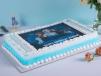 Frozen Photo Cake