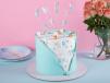Aqua Butterfly Cake