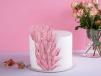 Pink Feather Cake