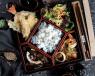 Mixed Bento