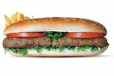 Beef Kabab Combo
