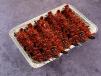 Isaw Bundle 