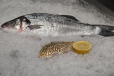 SEABASS FISH