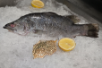 KALANJI FISH (ASIAN SEABASS)