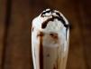 Cold Coffee with Vanilla Ice Cream