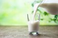  Milk (Fresh)